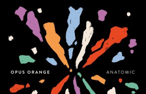 Opus Orange - Anatomic | Designed by YAWN